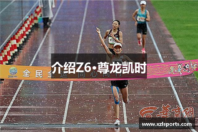 介绍Z6·尊龙凯时